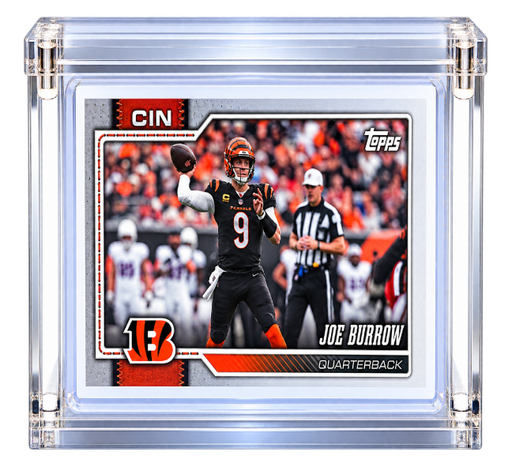 Slab Museum -1 Card Horizontal Top Loader Holder